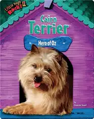Cairn Terrier: Hero of Oz