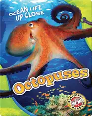 Octopuses