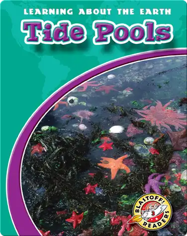 Tide Pools book