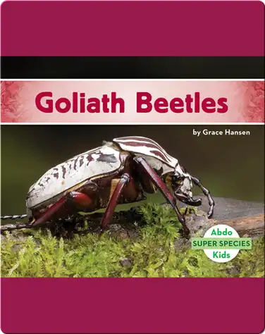 Goliath Beetles book