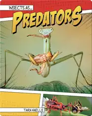 Insects as Predators