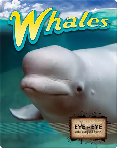 Whales book