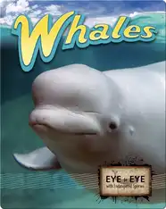 Whales