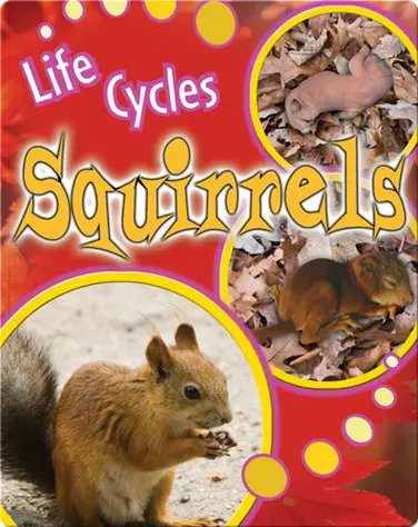 Squirrels book