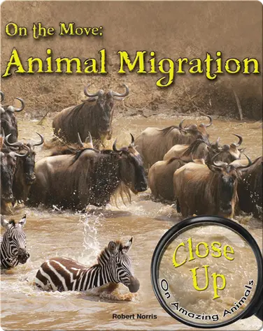 On the Move: Animal Migration book
