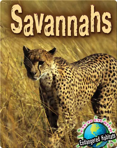 Savannahs book
