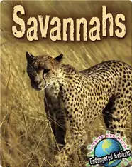 Savannahs