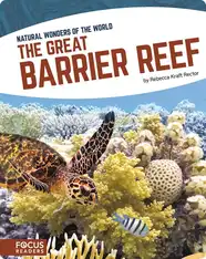 The Great Barrier Reef