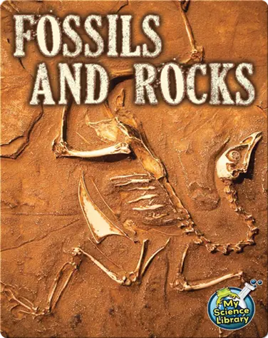 Fossils and Rocks book