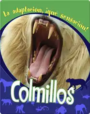 Colmillos