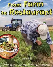 From Farm to Restaurant
