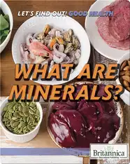 What Are Minerals?
