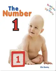 The Number 1
