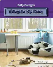 Things in My Room