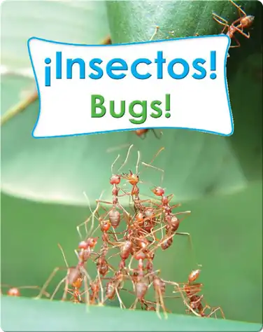 Insectos!  (Bugs!) book