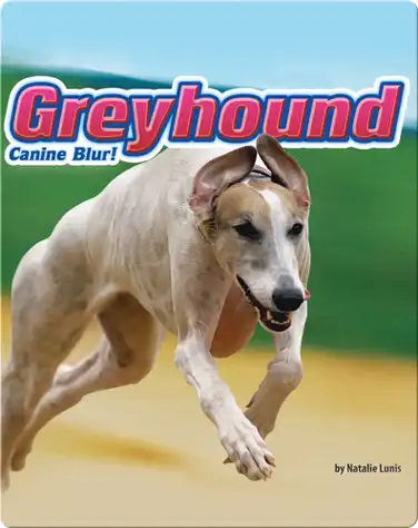 Greyhound: Canine Blur! book