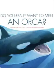 Do You Really Want to Meet an Orca?