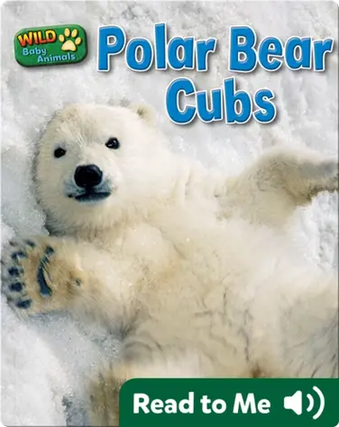 Polar Bear Cubs book