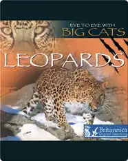 Leopards