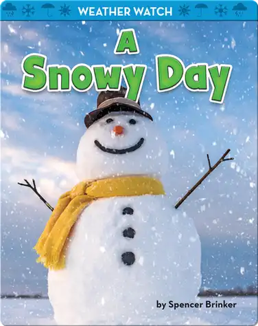 A Snowy Day book