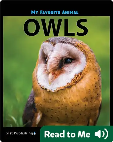 My Favorite Animal: Owls book