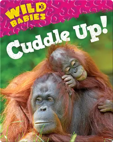 Cuddle Up! book