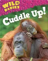 Cuddle Up!