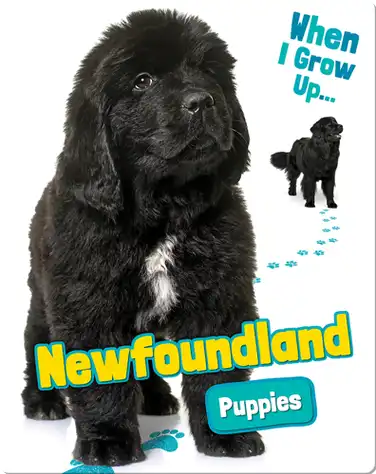 Newfoundland Puppies book