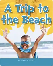 A Trip to the Beach
