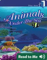 Animals Under The Sea