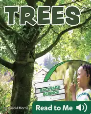 Backyard Science - Trees