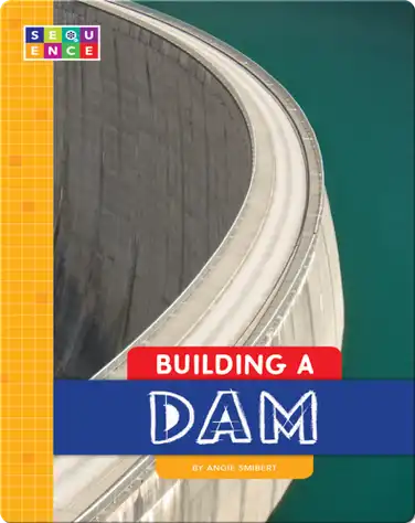 Building a Dam book