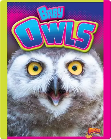 Baby Owls book