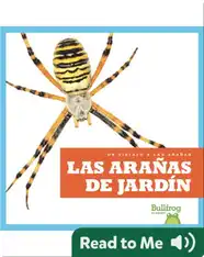 Las arañas de jardín