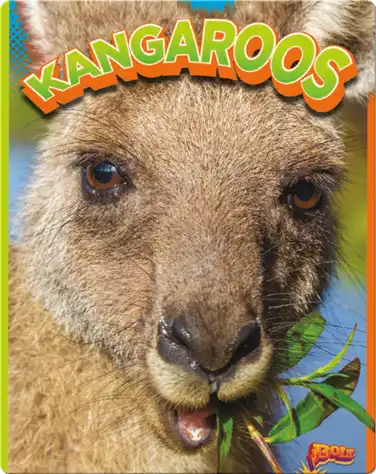 Kangaroos book