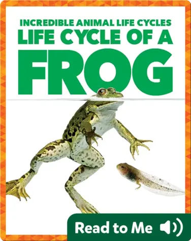 Life Cycle of a Frog book