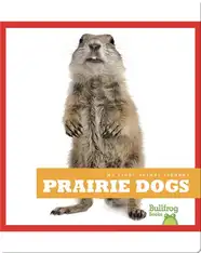 Prairie Dogs