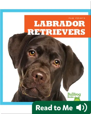 Labrador Retrievers book