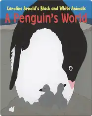 A Penguin's World