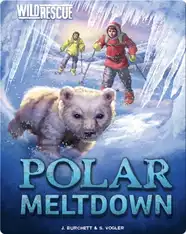 Polar Meltdown