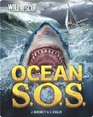 Ocean S.O.S.