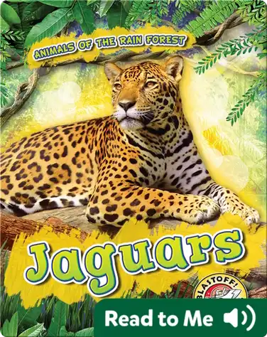 Jaguars book