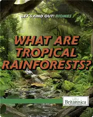What Are Tropical Rainforests?