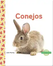 Conejos