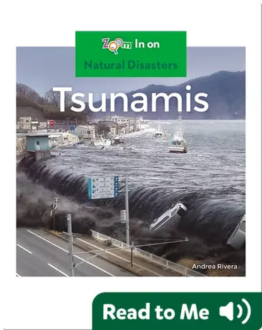 Tsunamis book