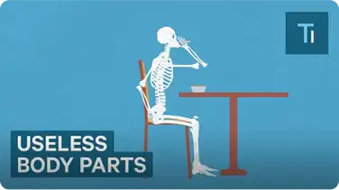 5 Useless Body Parts Left Over From Evolution book