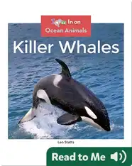 Killer Whales