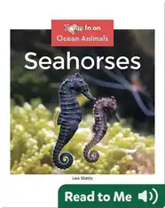Seahorses