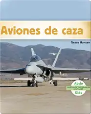 Aviones de caza