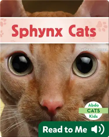 Sphynx Cats book